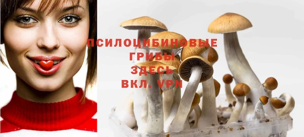 стаф Алексеевка