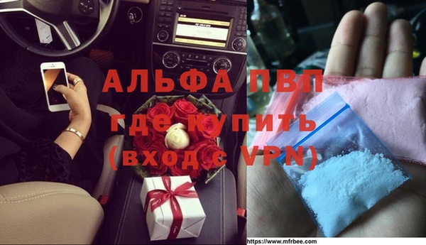 стаф Алексеевка