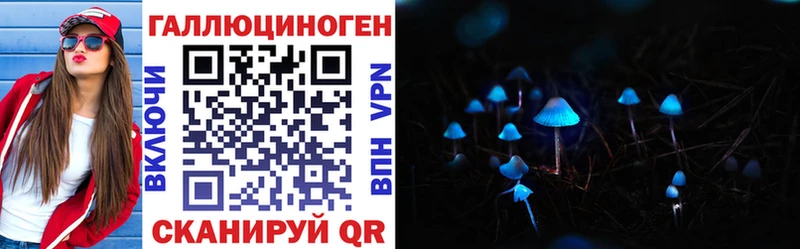 Псилоцибиновые грибы Cubensis  Инта 