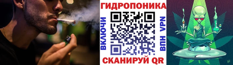 что такое   Инта  omg сайт  Шишки марихуана OG Kush 